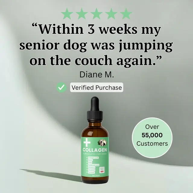 Waggle Hound