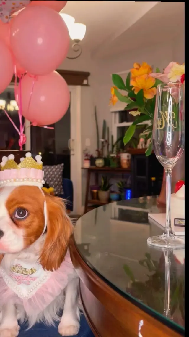Yappy Hour