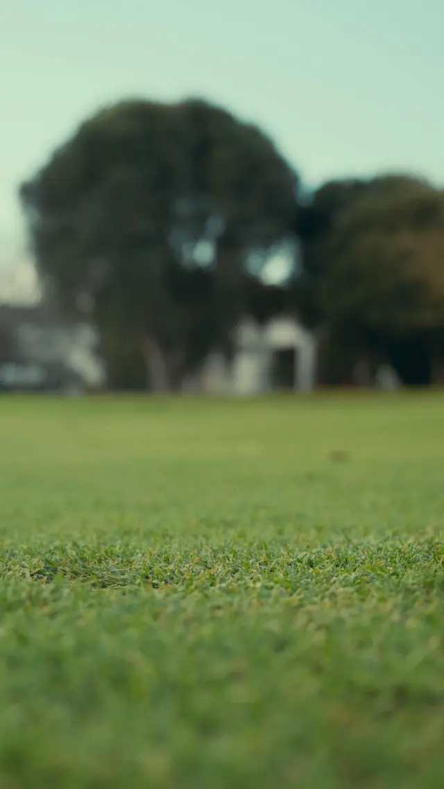 Scrubi.Golf