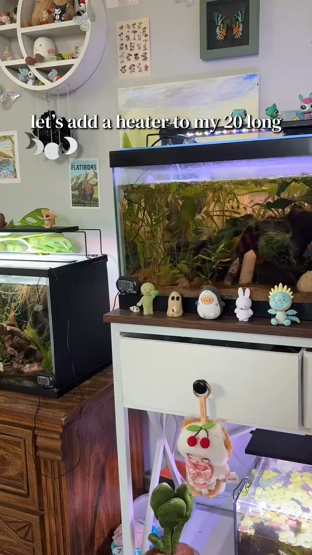 Hygger Aquarium