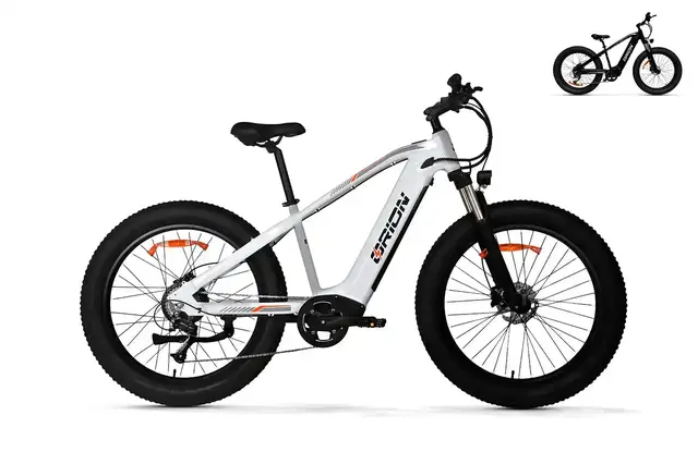 Orion Electric Bikes