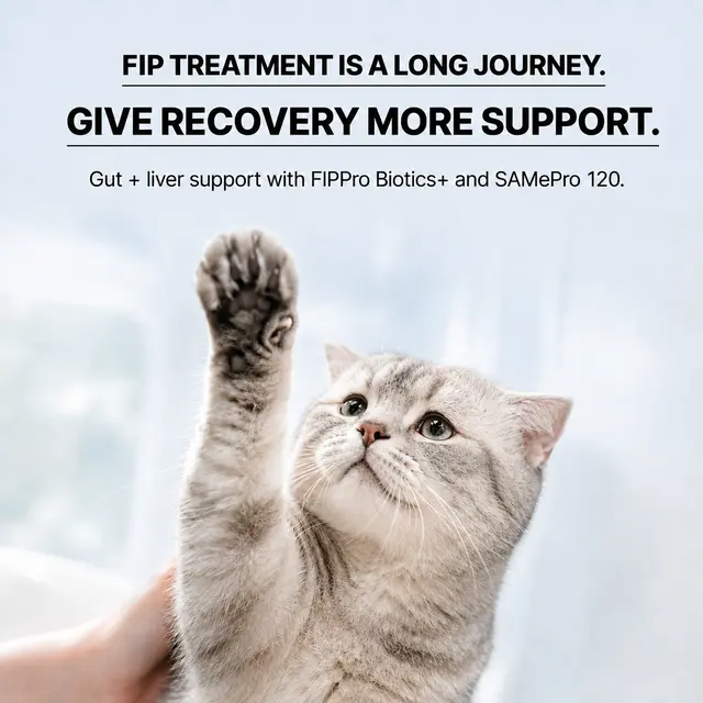 Maxpaw Health