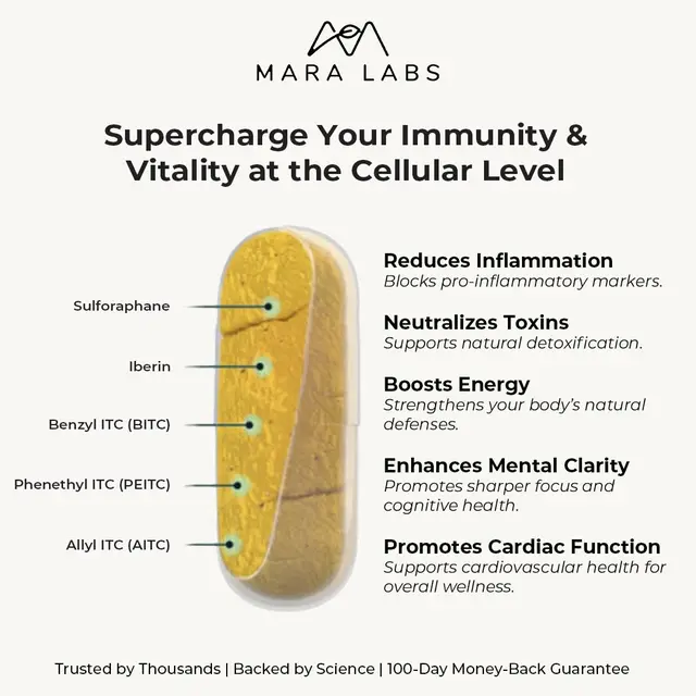 Mara Labs