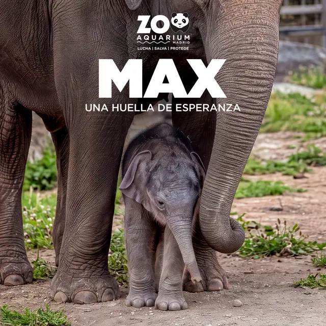 Zoo Aquarium de Madrid