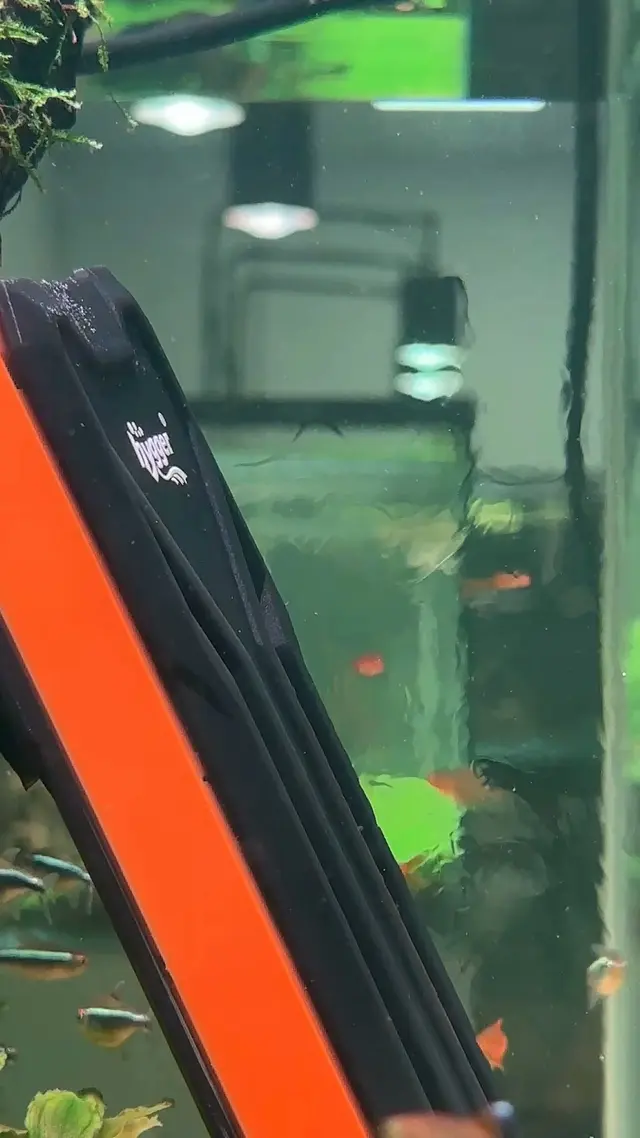 Hygger Aquarium