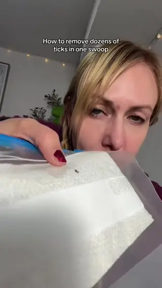 Nicole's Little Finds