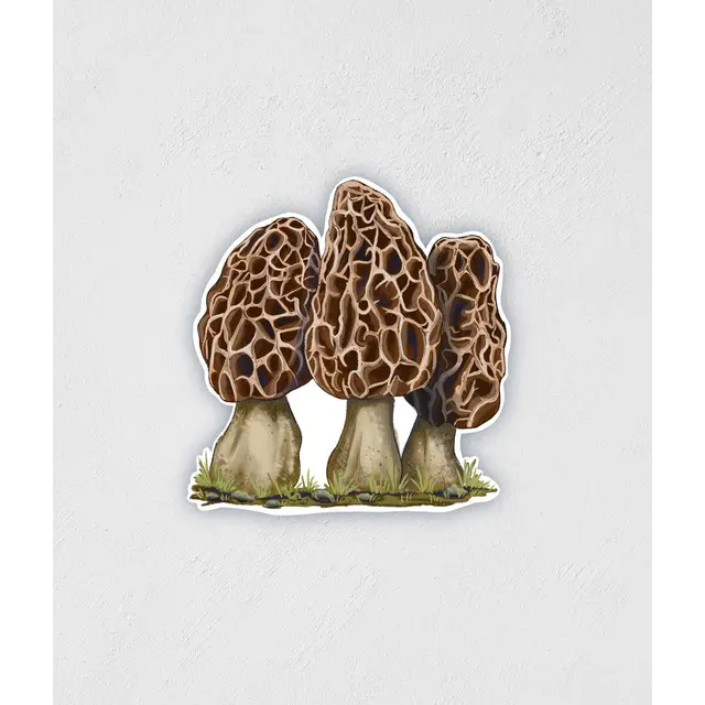 Little Rocks Design