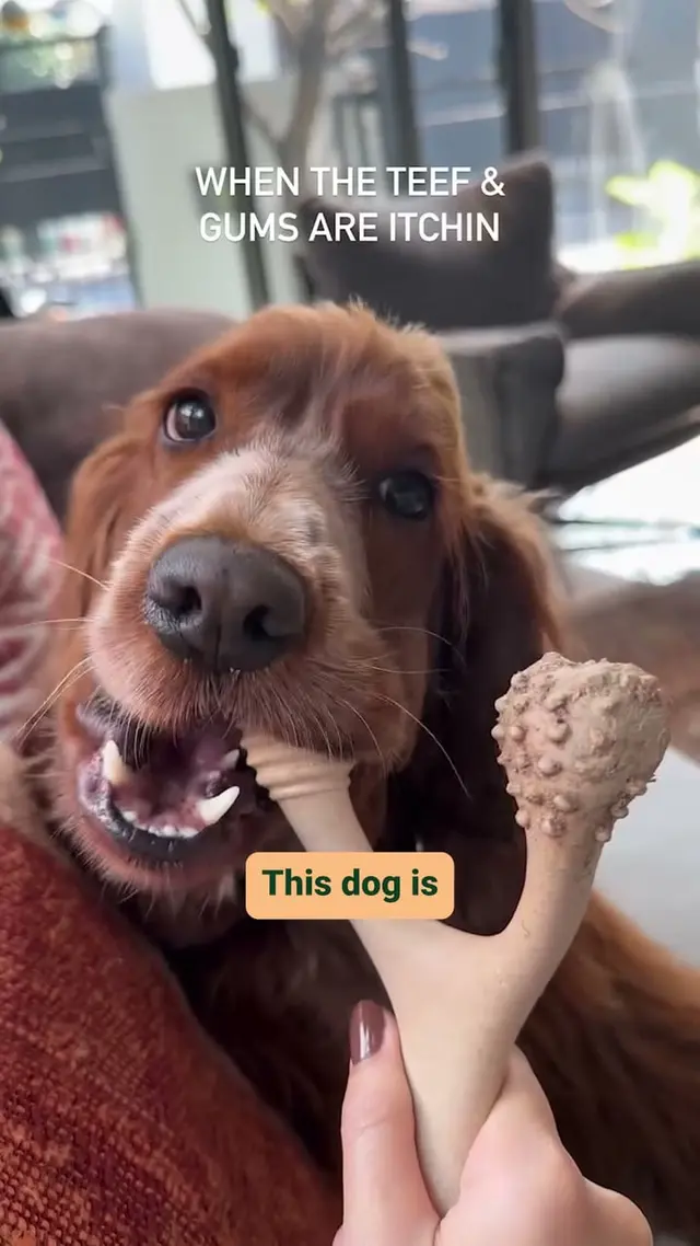 BetterBone