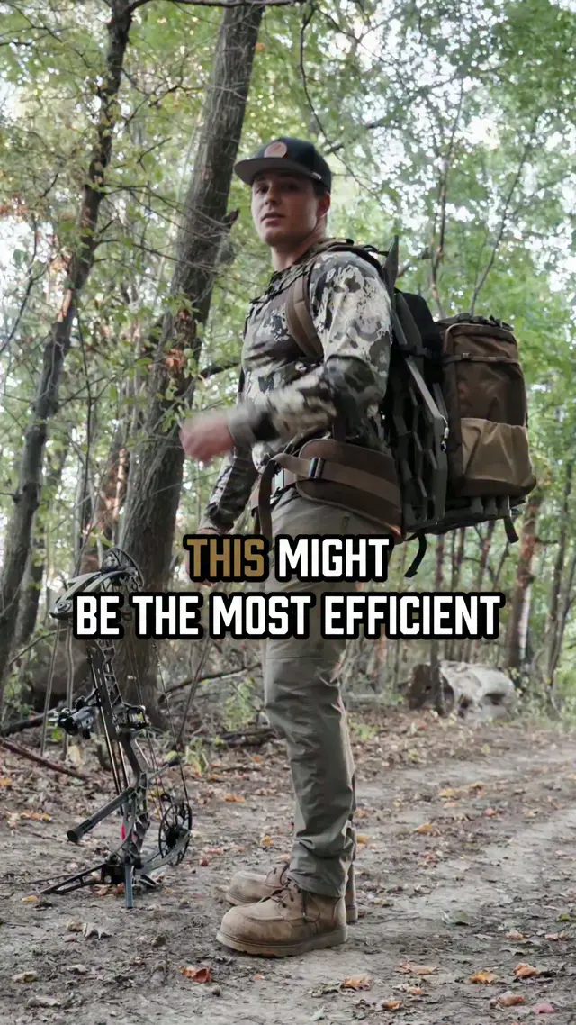 Nested Treestand Systems