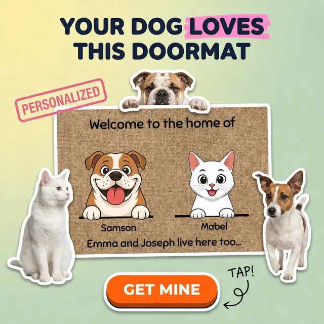 Draw My Pets