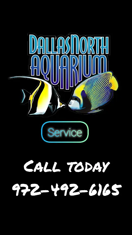 Dallas North Aquarium