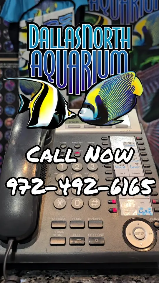 Dallas North Aquarium