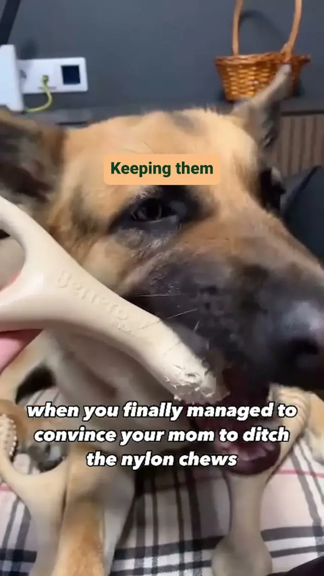 BetterBone