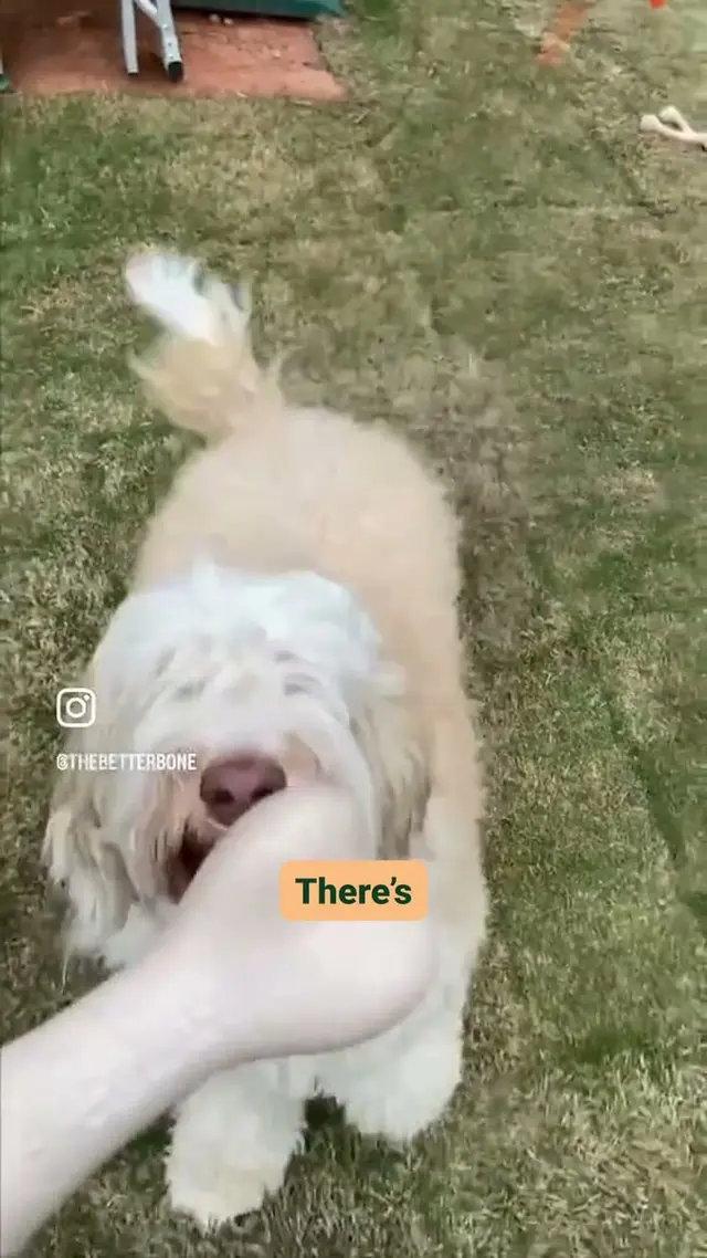 BetterBone