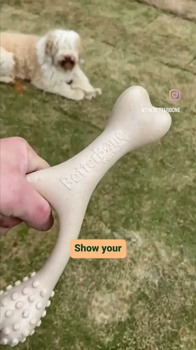 BetterBone