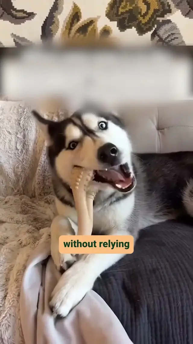 BetterBone