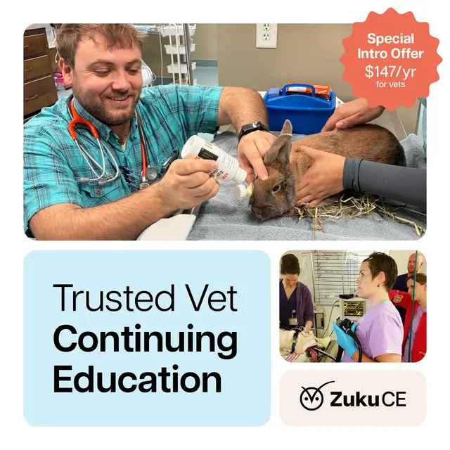 Zuku Learning