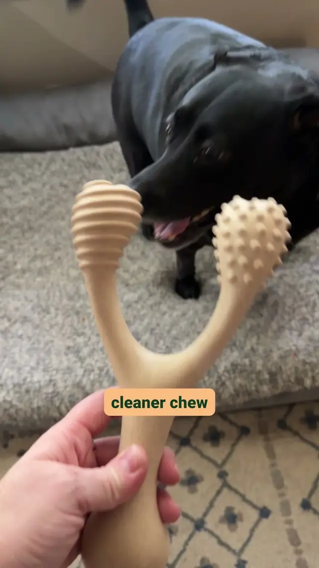 BetterBone