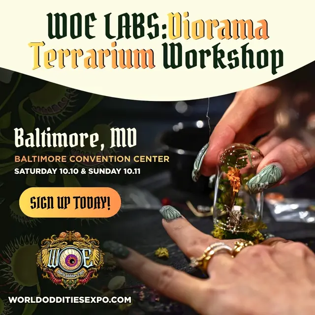 World Oddities Expo