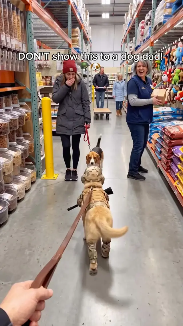 Daily Dog Enrichments