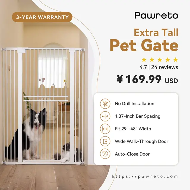 Pawreto