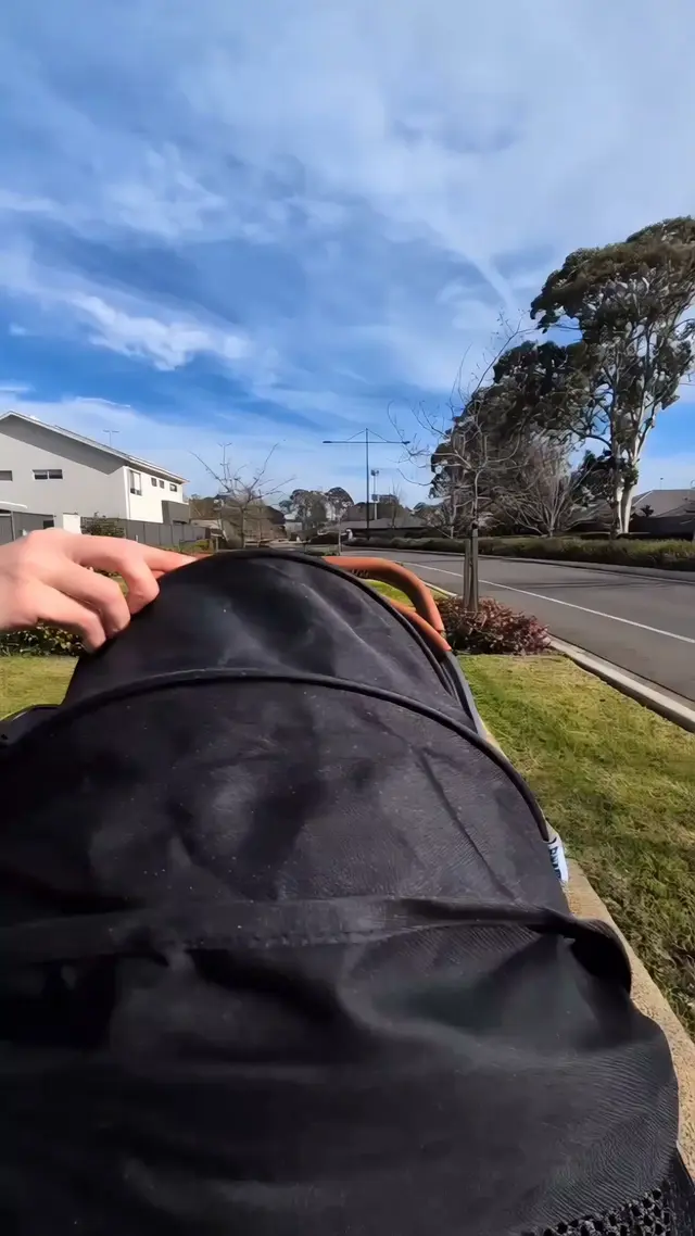 Furvelo Pet