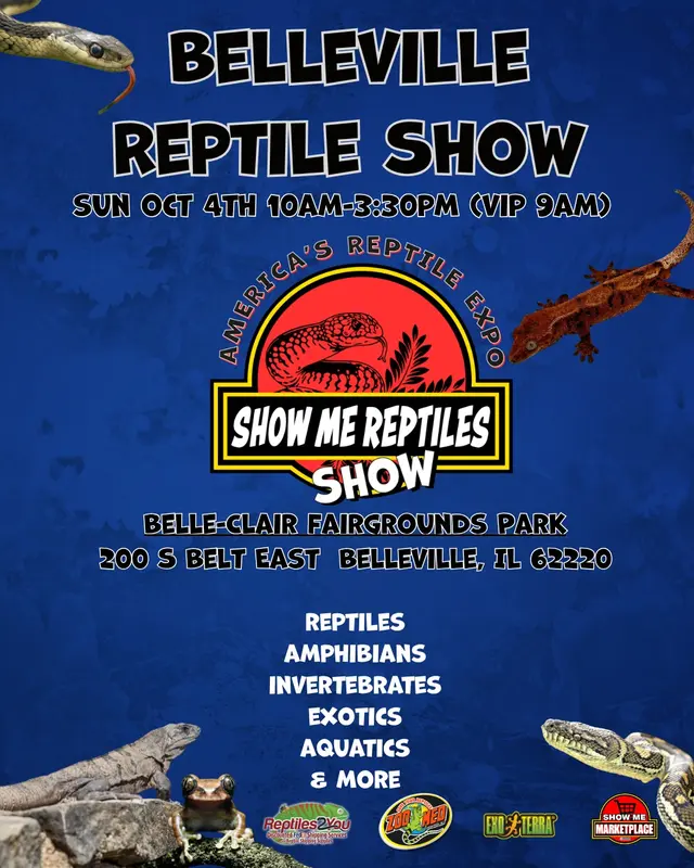 Show me reptile show