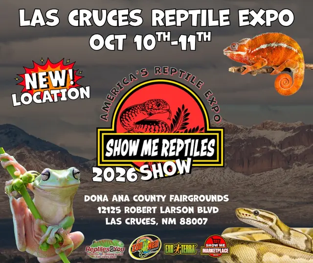 Show me reptile show