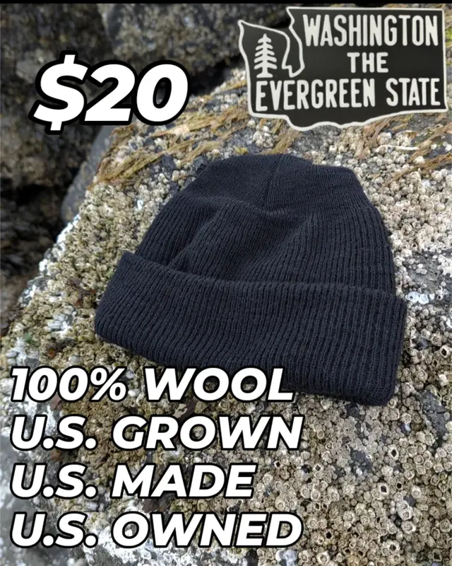 Black Wool Cap