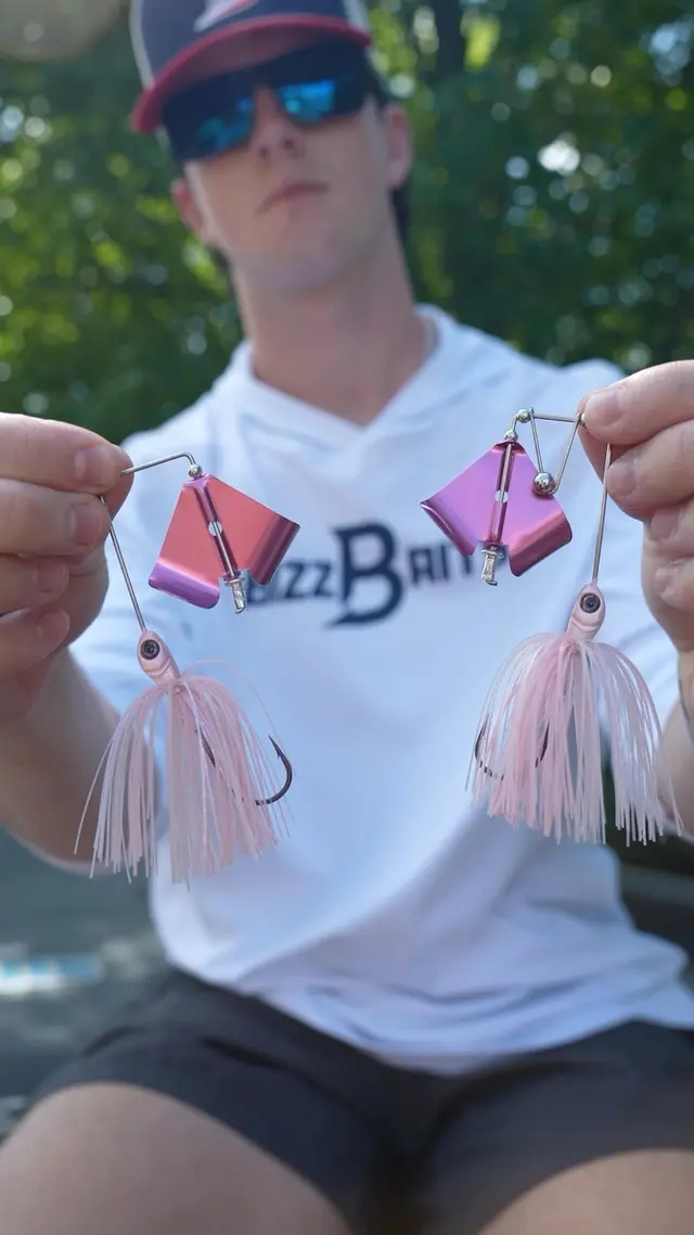 Bizz Baits