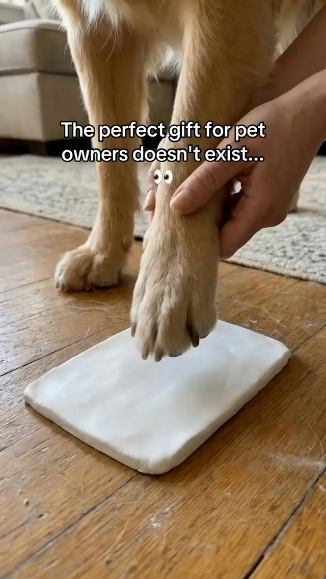 Dog Parent Diaries