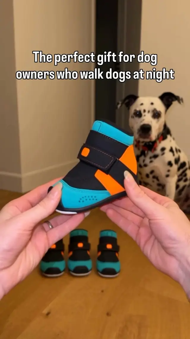 Dog Parent Diaries