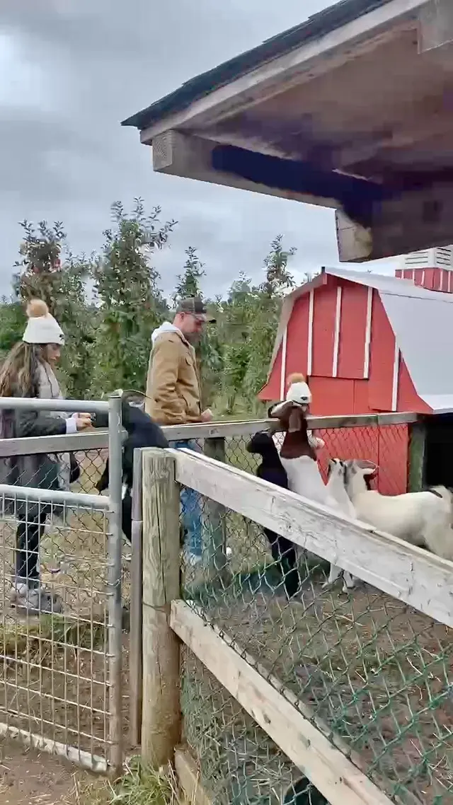 Chudleigh's Entertainment Farm