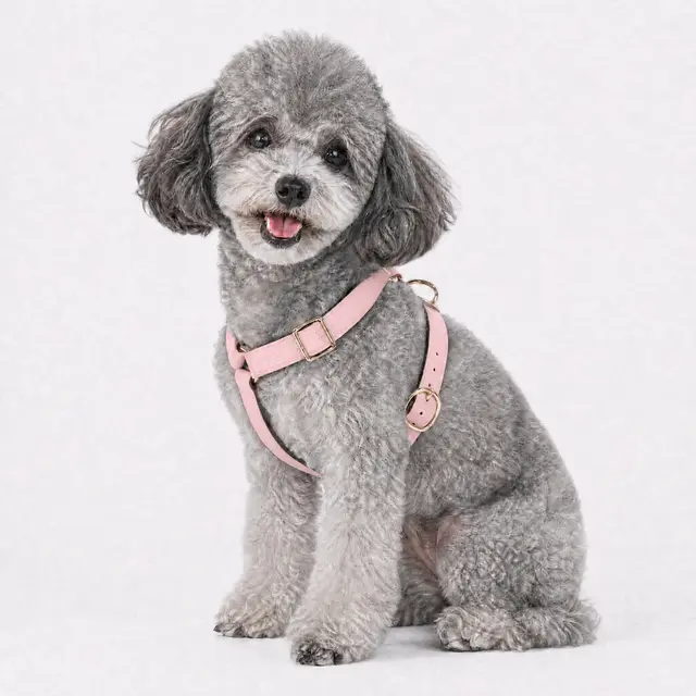 Furri Tail Pet Fashion