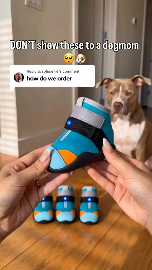 Dog Parent Diaries