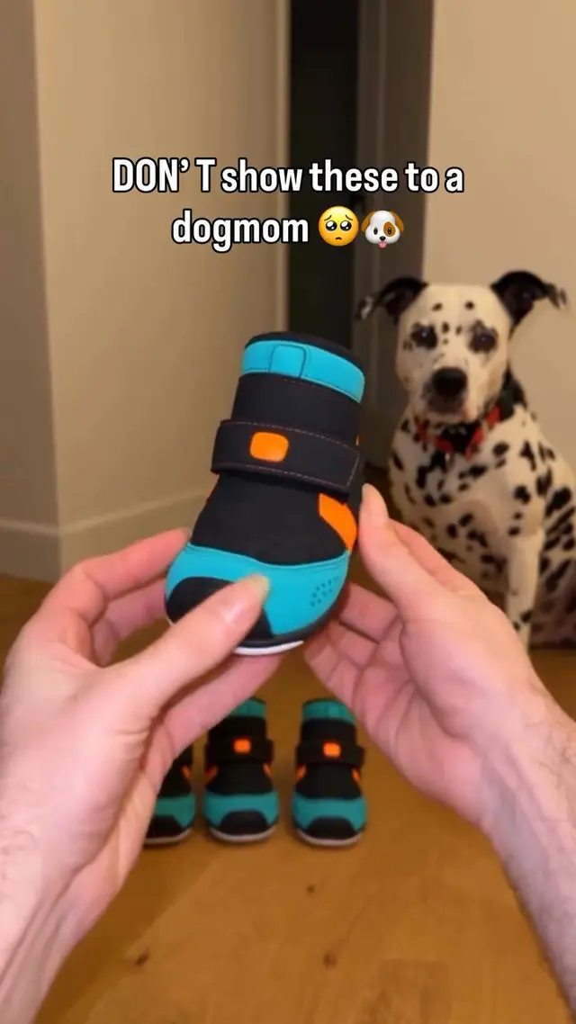 Dog Parent Diaries